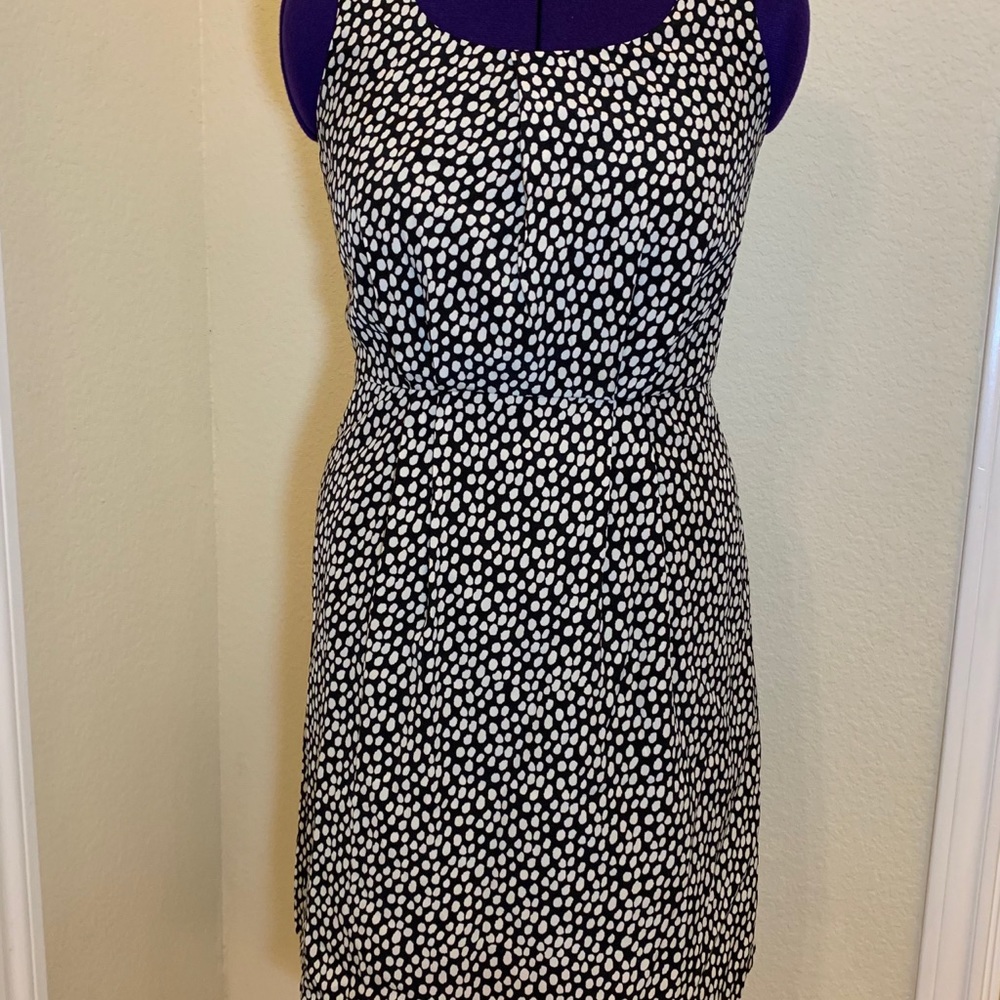 Ann Taylor Loft Polka Dot Dress
